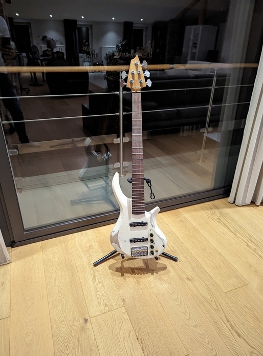 Guitare Basse 5 cordes