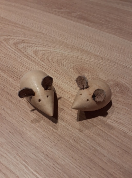 1er essai tournage de souris.