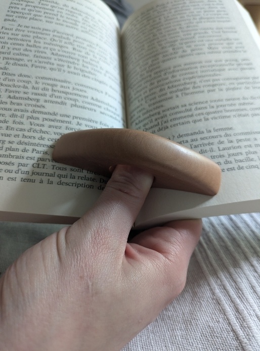 Une bague de lecture en pommier