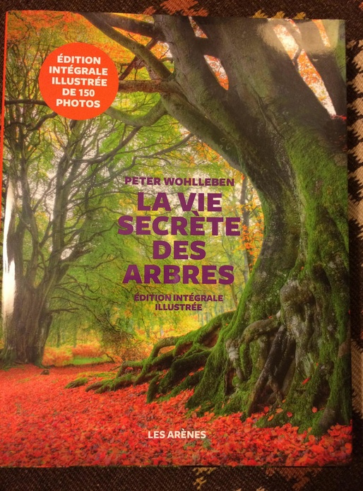 La vie secrète des arbres