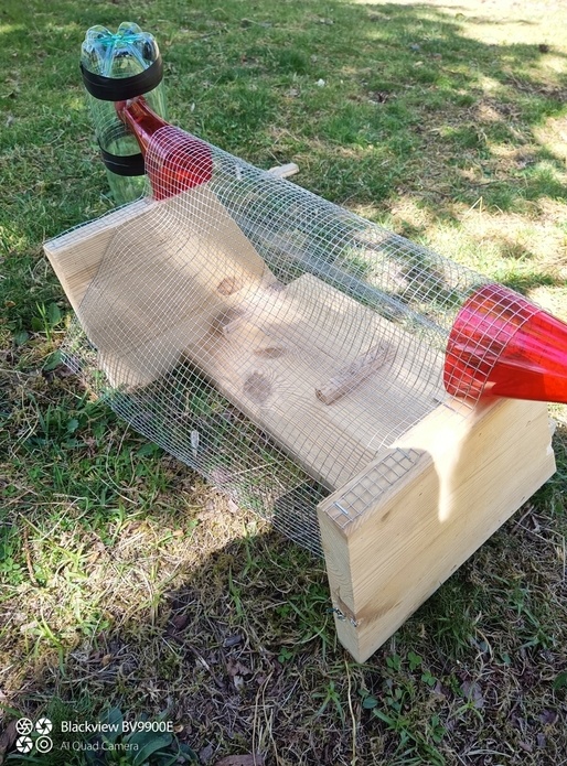 Piège frelon asiatique