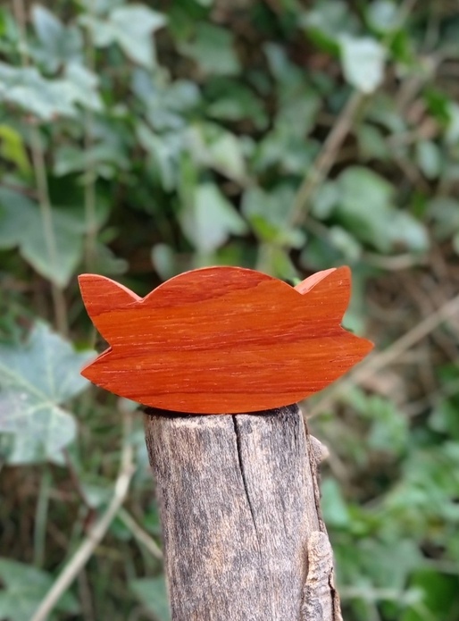 Tête de chat pour souris intrépide.