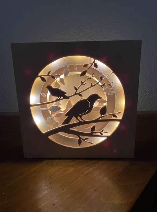 Lightbox Oiseaux