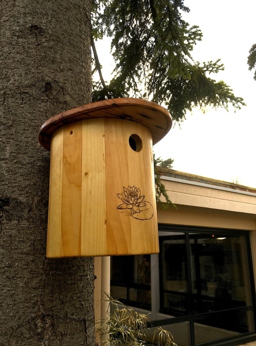 Complexe hôtelier pour zozios, un nichoir et une mangeoire