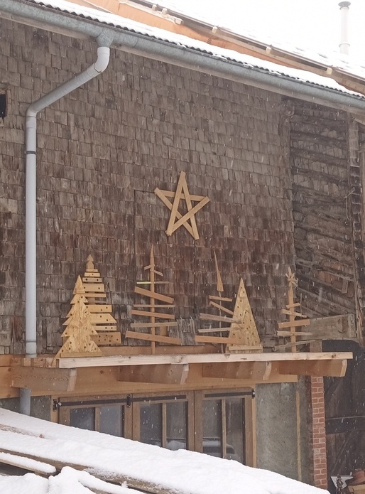 Chute de bois dans les sapins