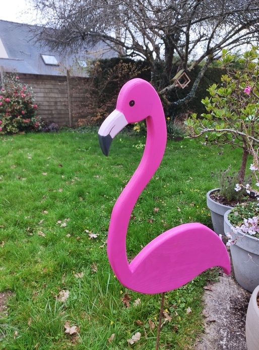 Flamand rose