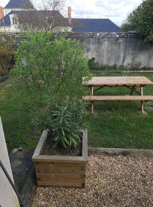 Bac pour laurier rose