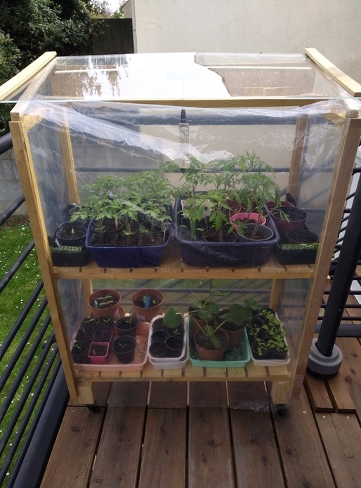 Serre à semis "automatique"