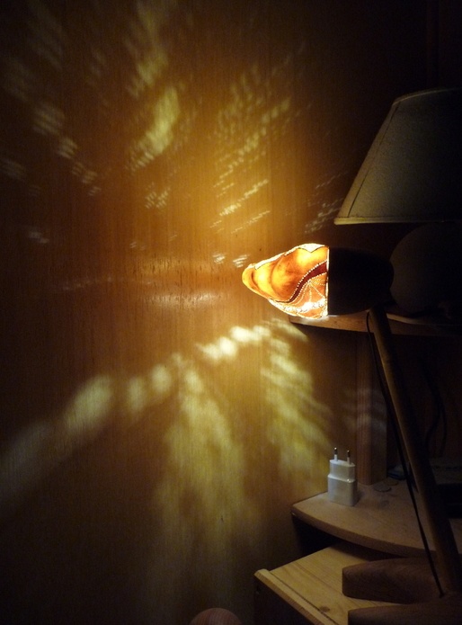 Patisson de lumière !!!