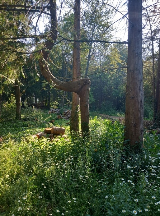 Pas comme les autres !