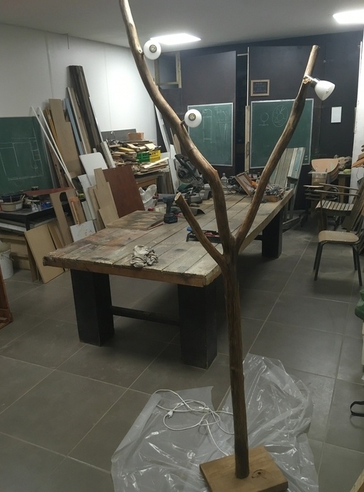 Lampe maison à partir d'une branche de grand tilleul