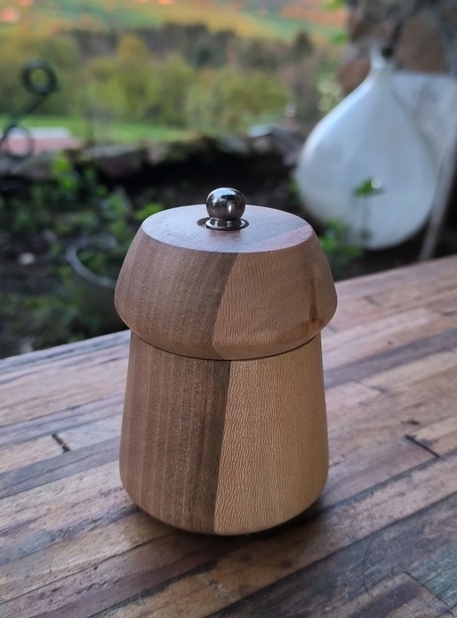 Moulin follement luxueux