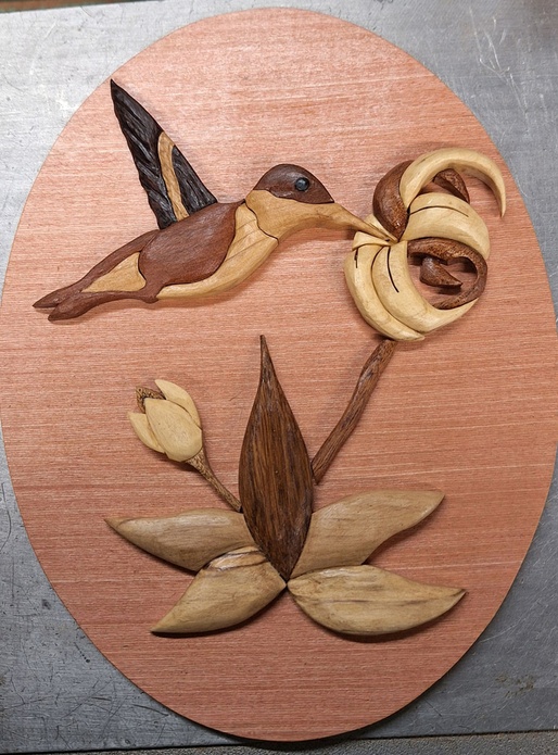 Le colibri en action