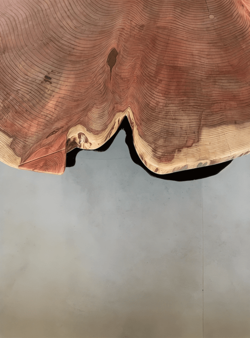 Table basse en Sequoia