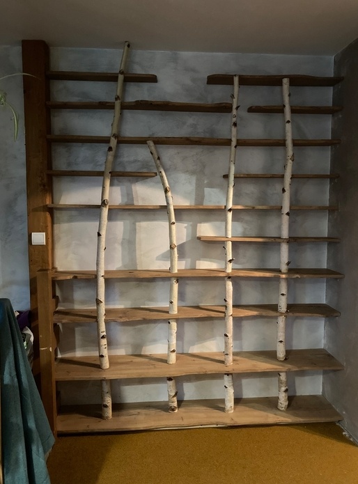 Bibliothèque bouleau et chêne