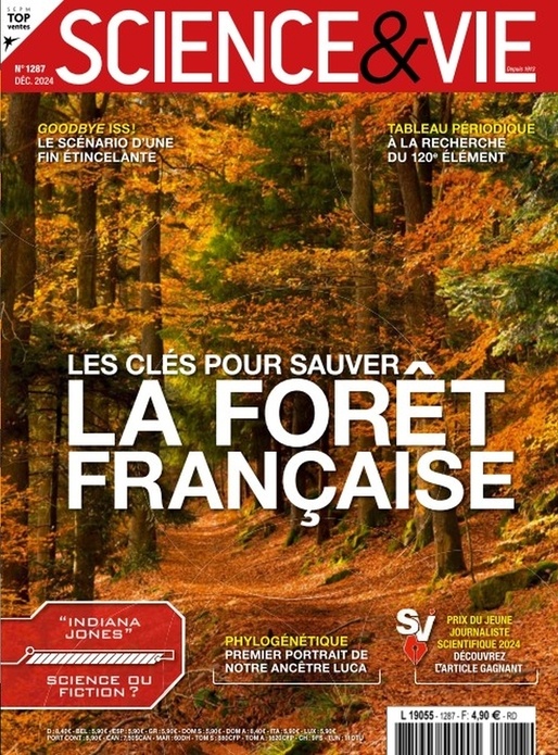 Science&Vie - Les clés pour sauver la forêt française