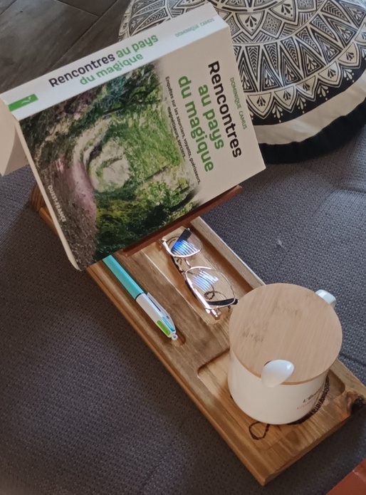 Support livre ou liseuse