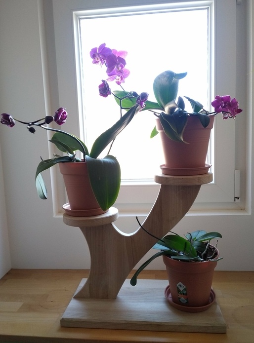 Petit présentoir pour plantes ou autres