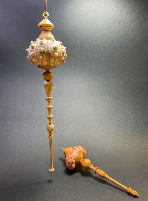 Oursin décoratif ou Sea Urchin Shell Ornament