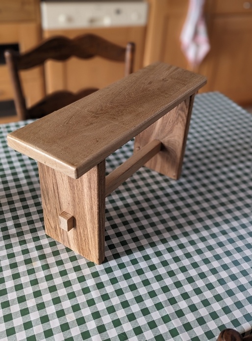 Marchepied pour les homo sapiens de taille relative.