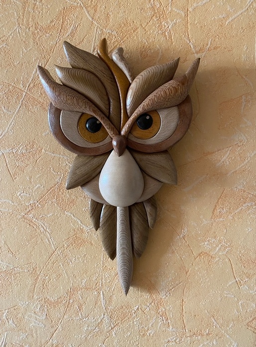 Hibou Intarsia
