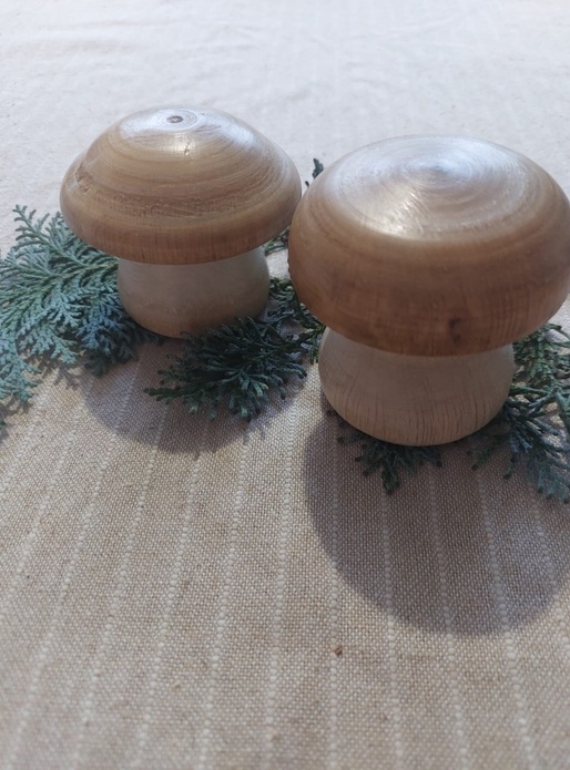 Champignons en hêtre