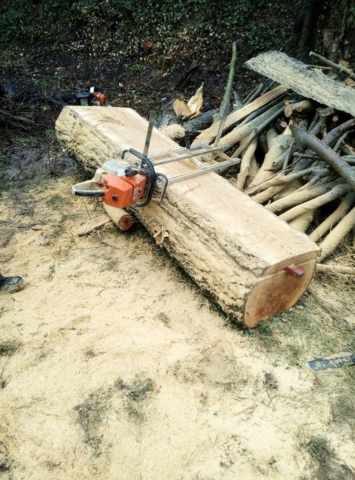 Sciage  grumes de frêne