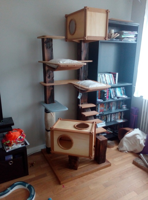 Arbre à chat charpenté !