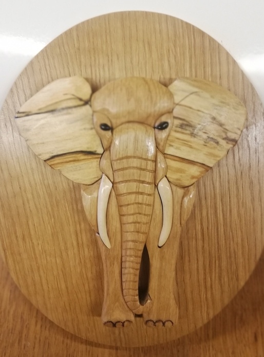 Un éléphant