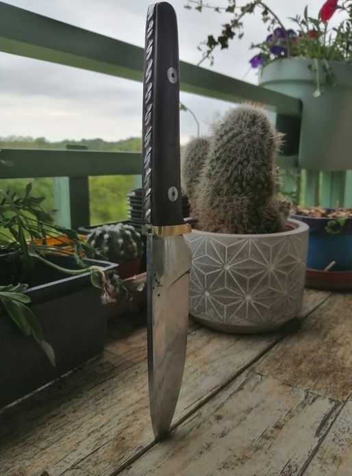 Couteau droit bois exotique