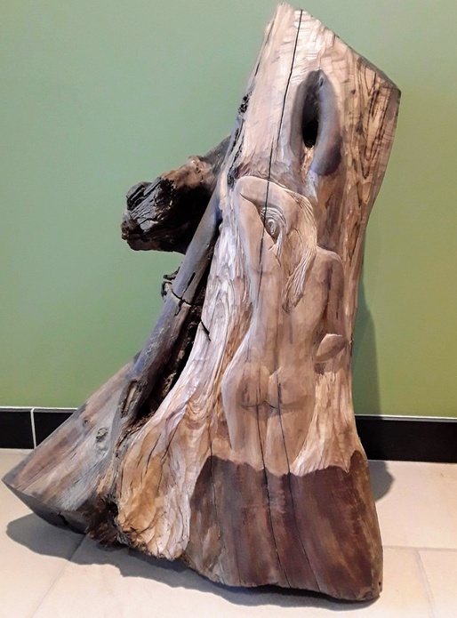 Sculpture d'un vieux pied d'olivier.