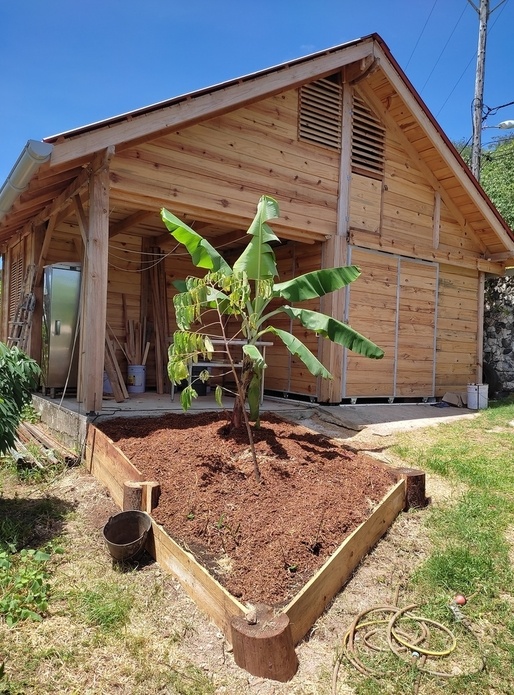 Cabane 40 m2 Pin des Caraïbes local