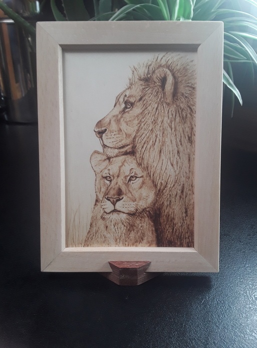 Le lion et la lionne