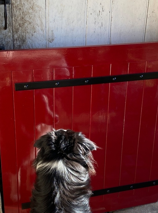 Un petit volet bas pour la porte d'entrée ...!