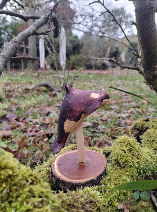 Mammifères marins voguant dans l'air du bois