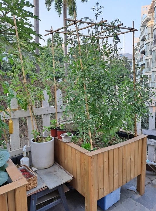 Large bac de jardinage