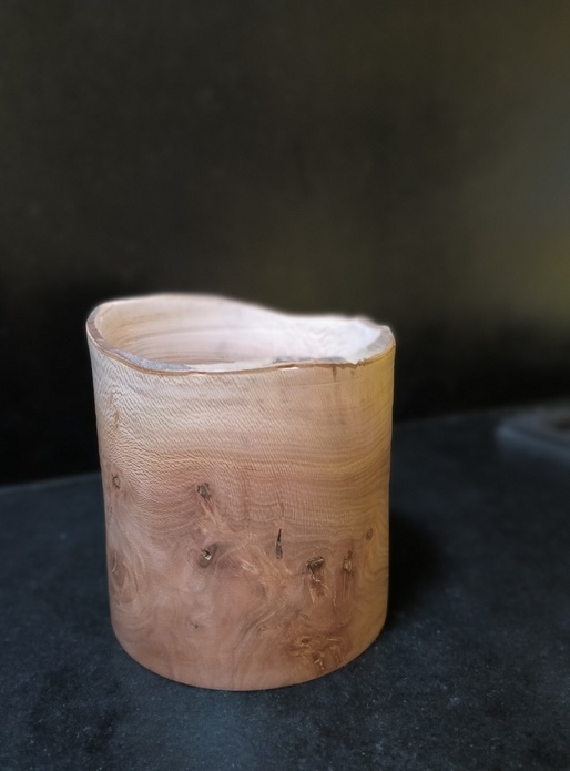 Un pot de platane noueux