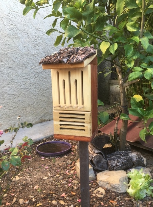 Cabane à papillons et coccinelles