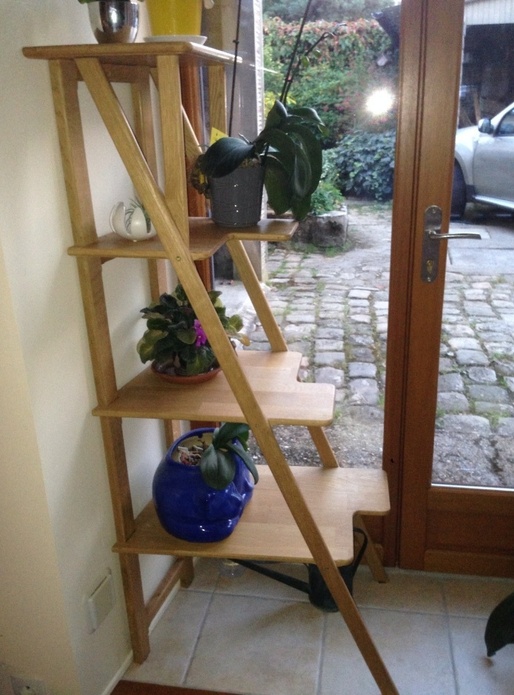 Étagère à plantes