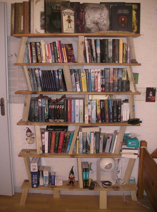 Etagère bibliothèque recyclage