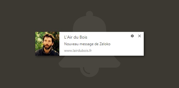 Les notifications "push", ça te dirait ?