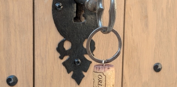 Porte de cave à l'ancienne