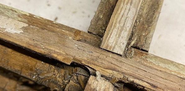 Elle était bien malade ...!