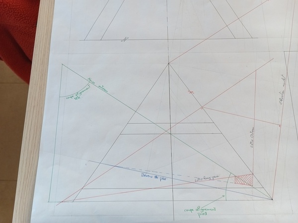 Coupes alignement par la herse (vert)