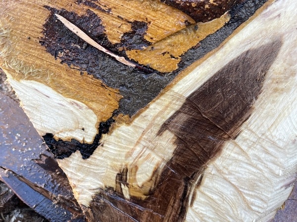 Poche de terre à l'intérieur