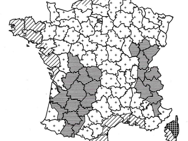 Carte des zones de vent selon NF EN 1991-1-1-4/NA
