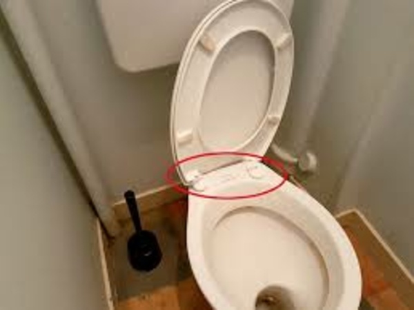 Pas pas Petit guide des toilettes s ches l usage des boiseux