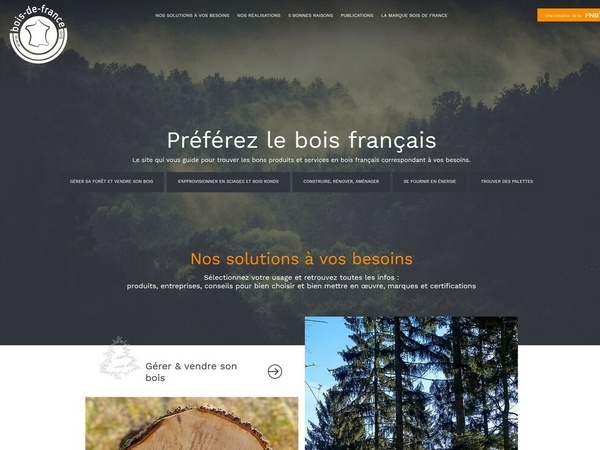 Capture de l'acceuil du site