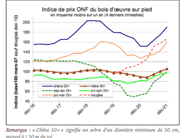 prix moyen du bois d'oeuvre sur pied !