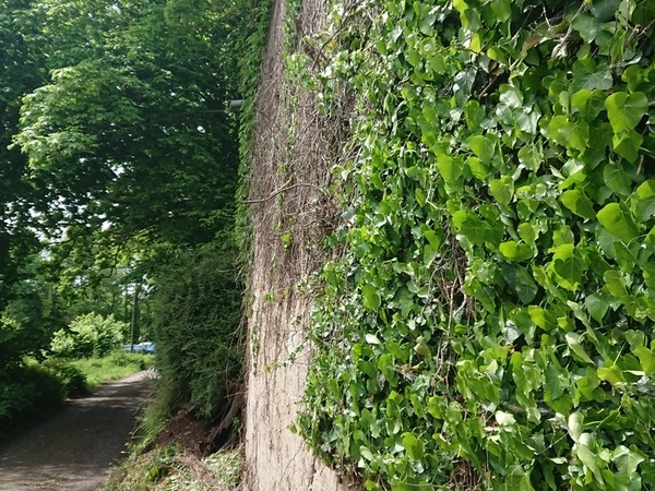 L'Air du Bois